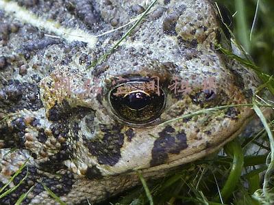 网站空间租用每年都要续费吗(网站建设要多少钱)