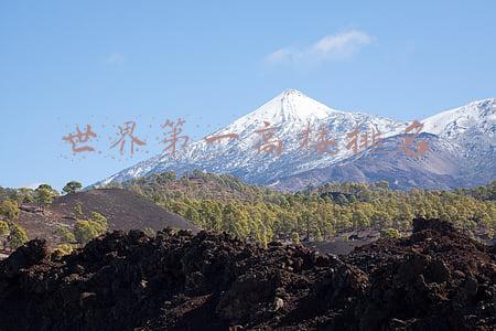 世界第一高楼排名在哪里(世界第一高楼亮起中国红)