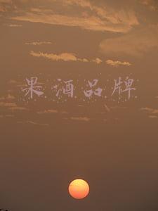 果酒品牌