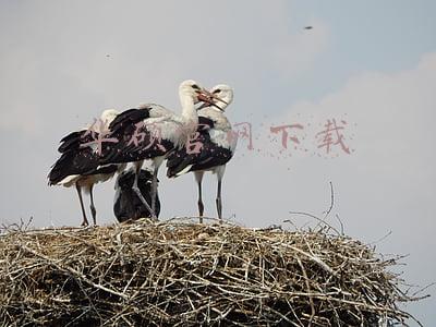 华硕官网下载