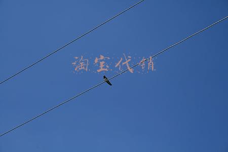 淘宝代销的交易流程(淘宝一件代发怎么做？怎样做好？)