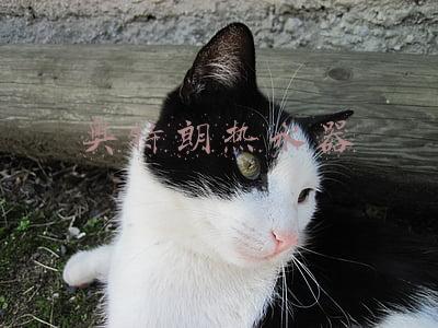 奥特朗热水器