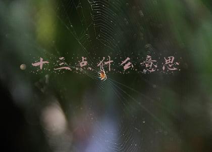 十三点什么意思