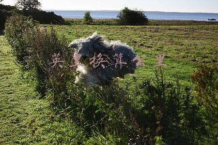 英里换算公里