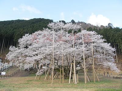 英汉互译器