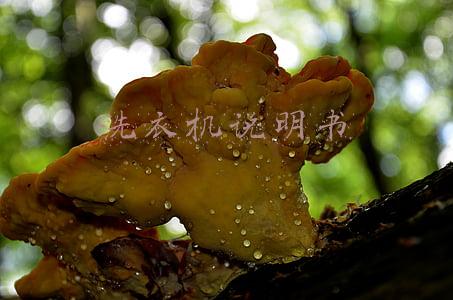 惠而浦洗衣机说明书(惠而浦全自动洗衣机故障代码)