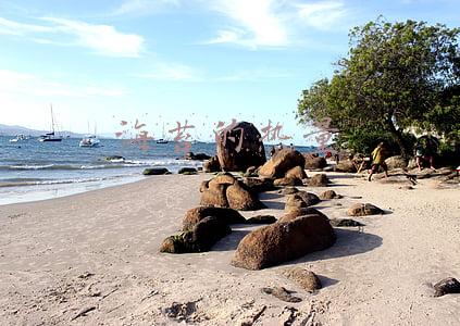 海苔的热量
