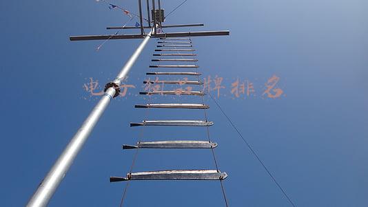 哪个品牌的电子狗效果好(吸尘器哪个牌子好？深度测评无线吸尘器十大排名)