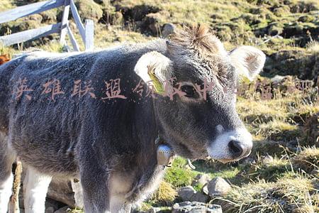 英雄联盟领取中心官网20(这是一篇2022年2月22日22点发布的推文)