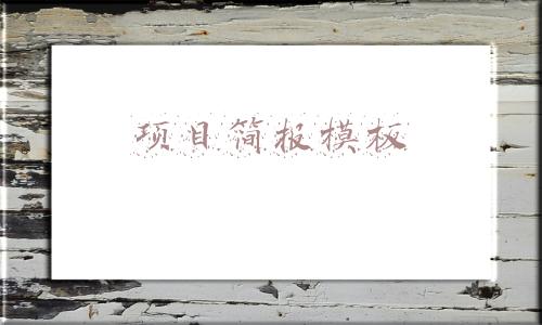 项目简报模板