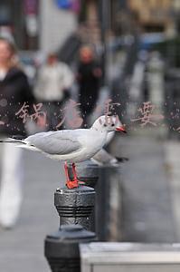 开个火锅店需要多少钱投资_开个火锅店需要多少钱