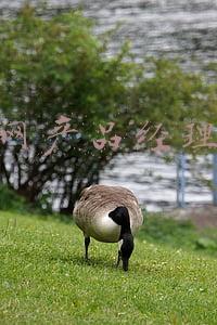 互联网产品经理职责