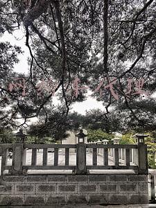 网约车代理