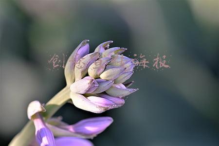 创意宣传海报