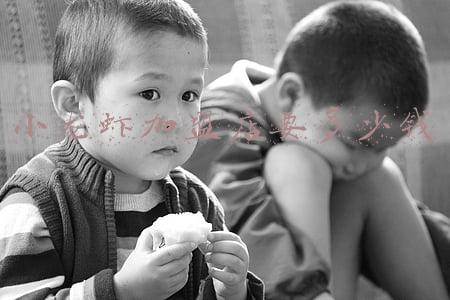 小龙虾养殖技术加盟《小龙虾 养殖》