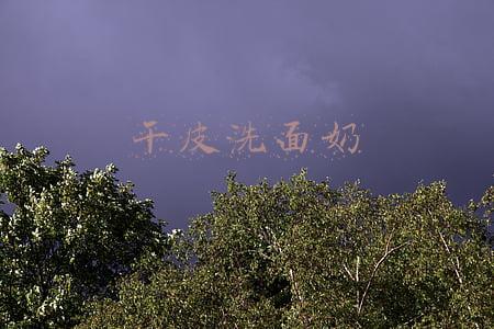 干皮洗面奶