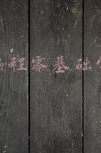 编程零基础学