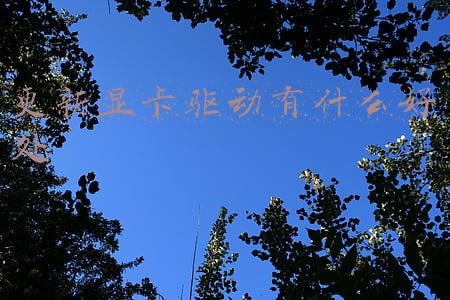 更新显卡驱动程序有什么用(显卡驱动是否有必要更新？更新新显卡驱动的好处是什么？)