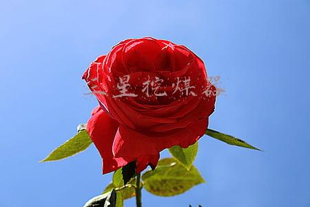 三星挖煤器
