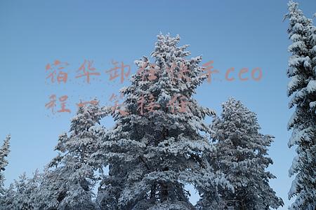 宿华卸任快手ceo 程一笑接任