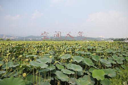 空间人气是不是访客(空间记忆为什么对用户体验设计那么重要？)