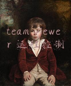 team viewer 远程控制