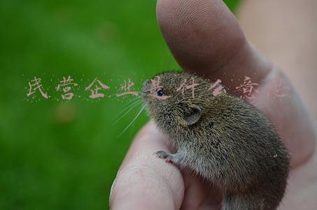 央企控股民营企业是什么意思(民企有国企背景？这一招你一定不知道)