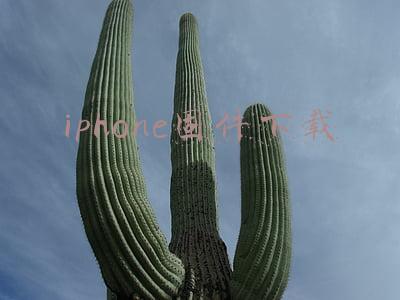 iphone固件下载