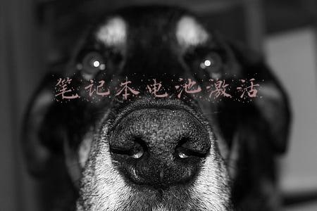 笔记本电池激活教程(电池激活操作)