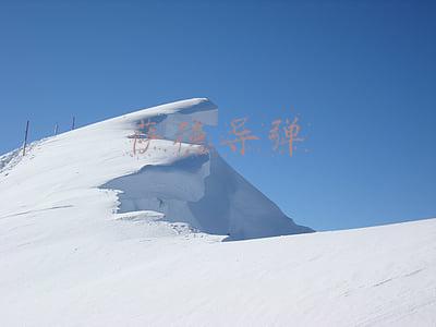 萨德导弹事件(“萨德”击落也门胡塞武装的弹道导弹，但并不能证明其靠谱)