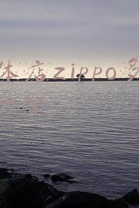 实体店zippo多少钱一个