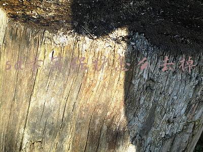 如何解除sd卡写保护(sd卡被保护了该如何去掉？)