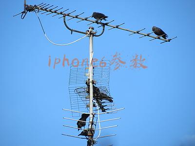iphone6s参数(把五年前的iPhone 6S升到iOS 14后，还能再战三年？)