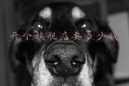 开个店需要多少钱 开一家麻辣烫店成本