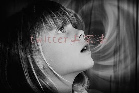 twitter上不去了(Twitter网站短暂无法访问：整顿内部API所致)