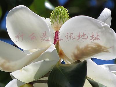 什么是通讯地址什么是居住地址(2022国考报名开始，手把手教你填写报名系统个人信息)