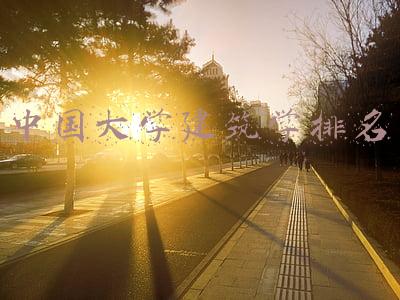 中国大学建筑学排名前八的院校(中国当代十大建筑大师 中国当代著名建筑师排名)