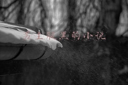 男主腹黑的小说