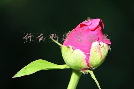 民营企业是什么性质的企业(发改委：从四方面加大民营企业特别是小微企业支持力度)