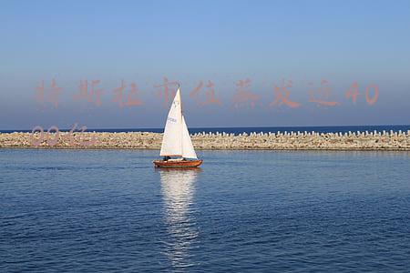 特斯拉市值蒸发近4000亿