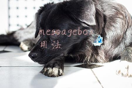 messagebox用法