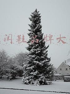休闲鞋品牌大全