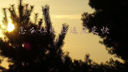 怎么让电脑速度变快