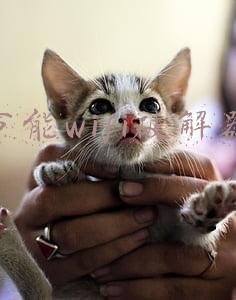自家无线被万能wifi破解(家里WIFI被蹭网？网络卡顿？教你一招立马见效)