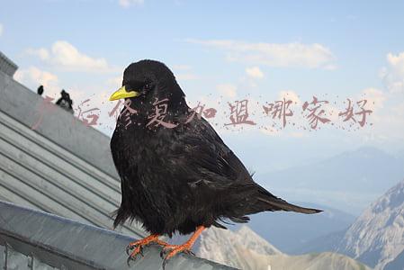 产后修复有哪些加盟店(产后恢复加盟10大品牌)