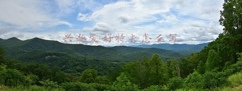 学生兴趣爱好特长怎么写(教育要关注学生的个性特长)