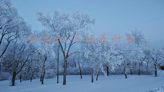 企业erp系统是什么
