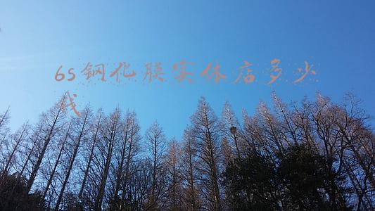 iphone6s原装屏幕多少钱-6s原装屏幕多少钱