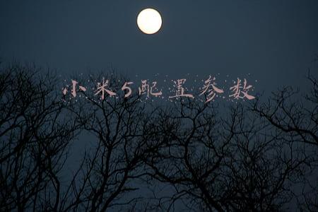 小米5规格参数(小米5参数全曝光，高通820加2K屏，你想要都在这里了)
