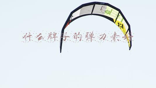 什么牌子的弹力素好